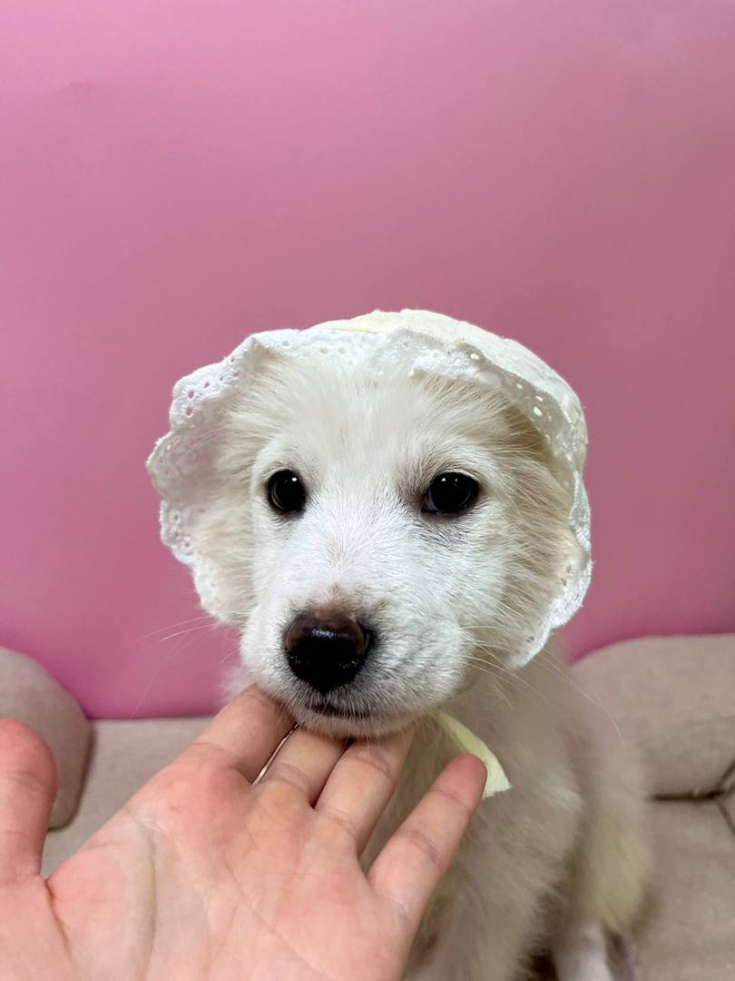 아띠