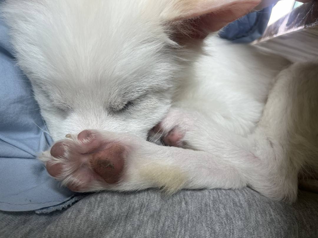 아띠