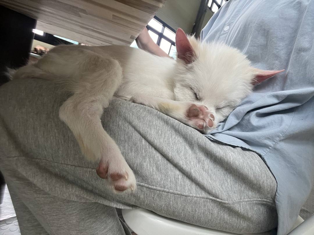 아띠