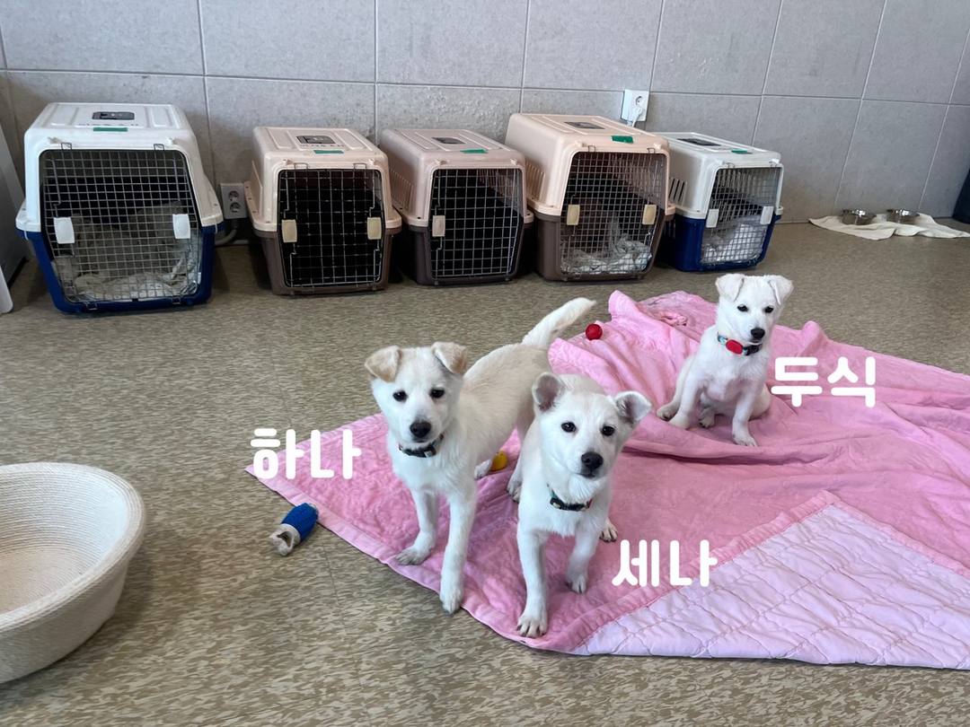 하나