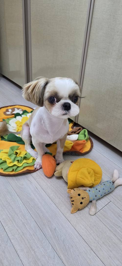 김포번식장)쁘아