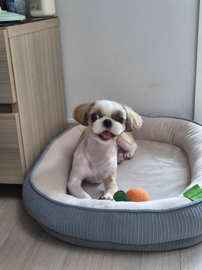 김포번식장)쁘아