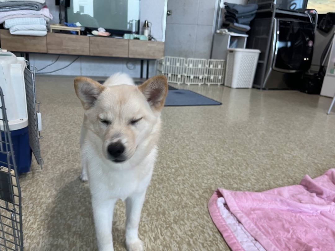 가을