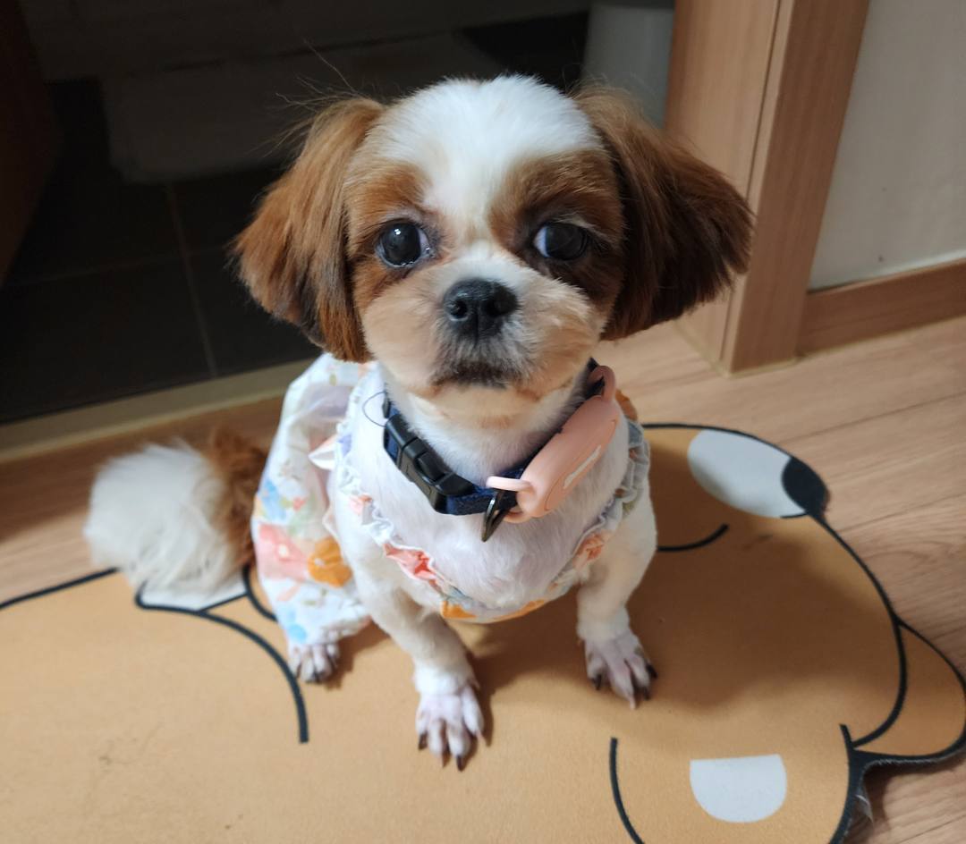 김포번식장)미루