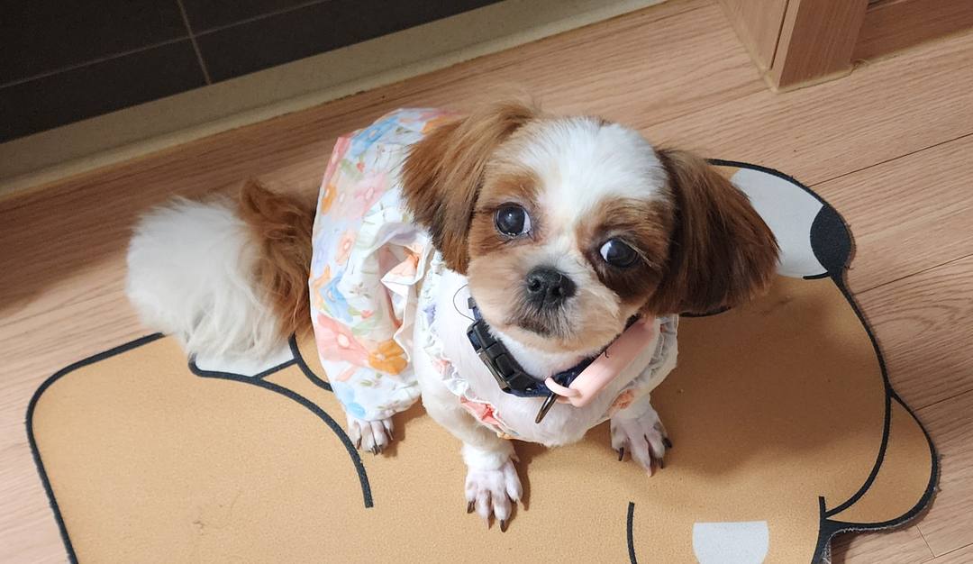 김포번식장)미루