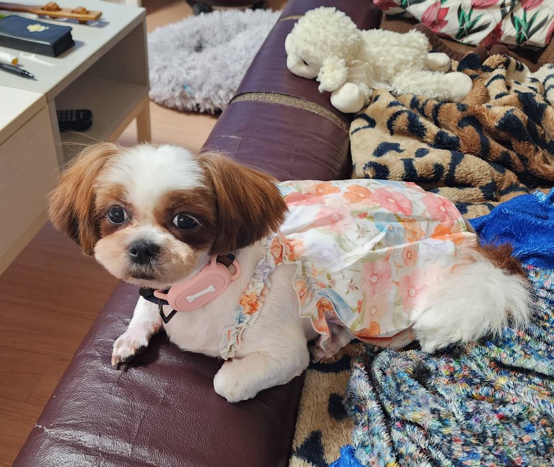 김포번식장)미루