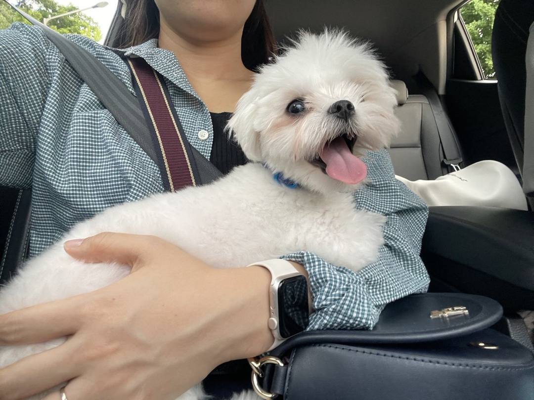 김포번식장)제이