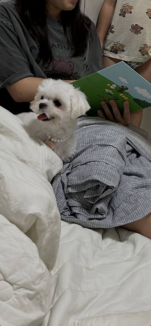 김포번식장)제이