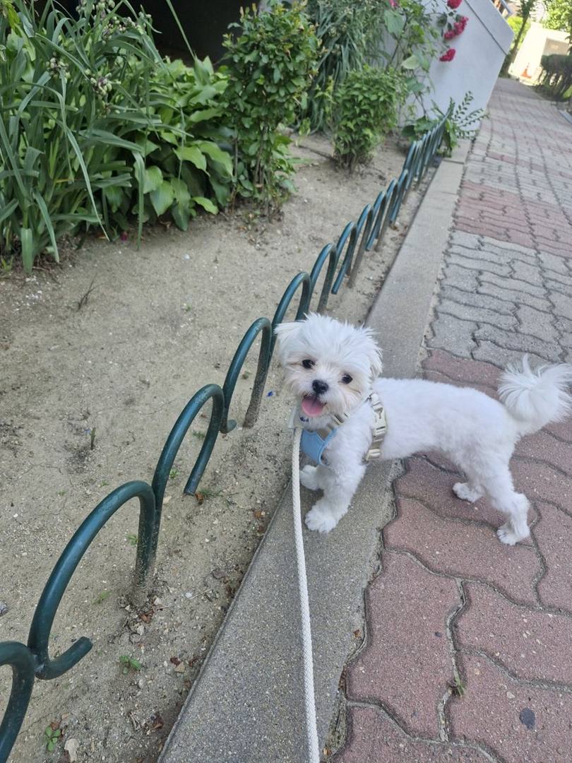 김포번식장)제이