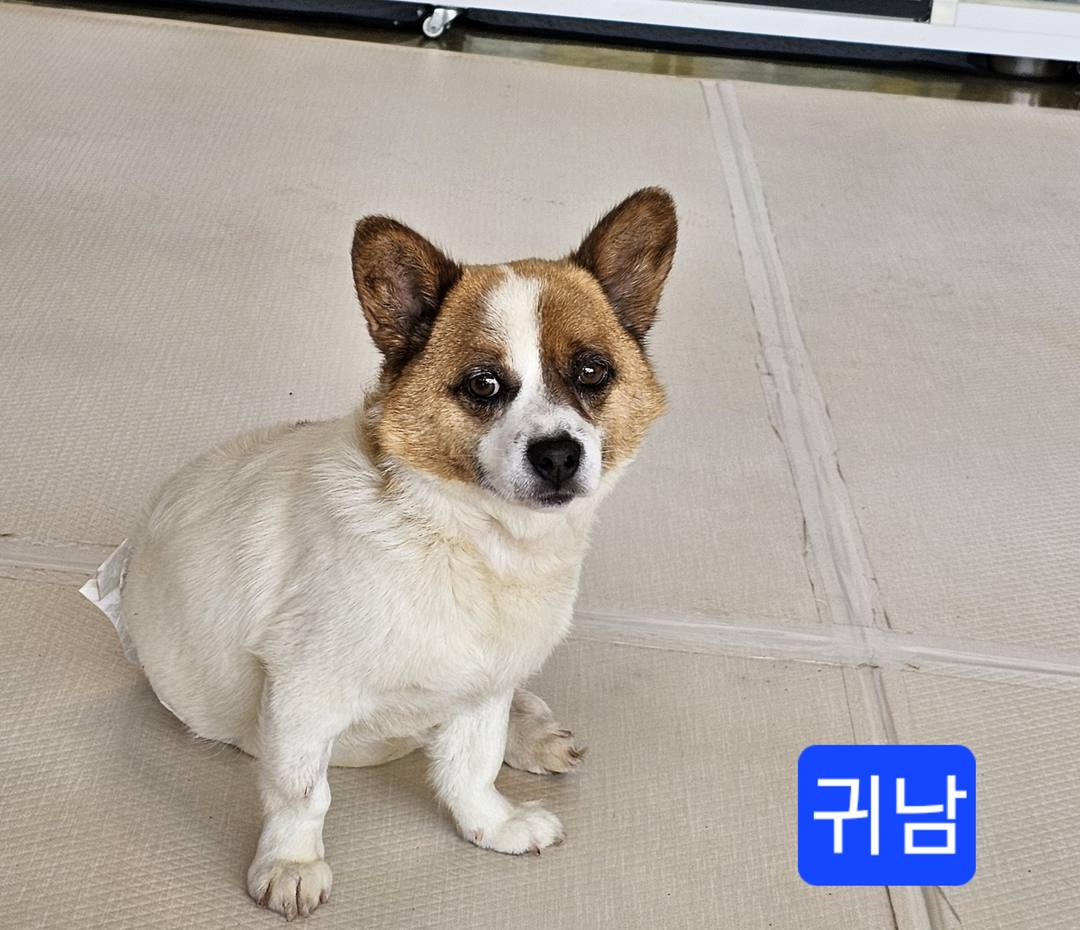 귀남