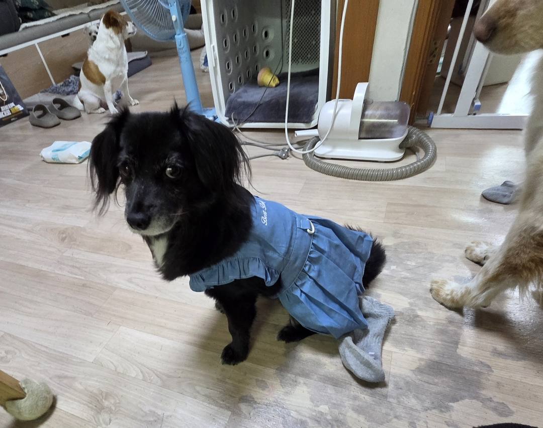 로지