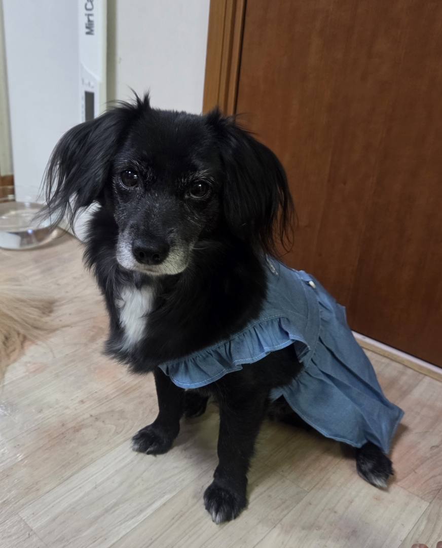 로지