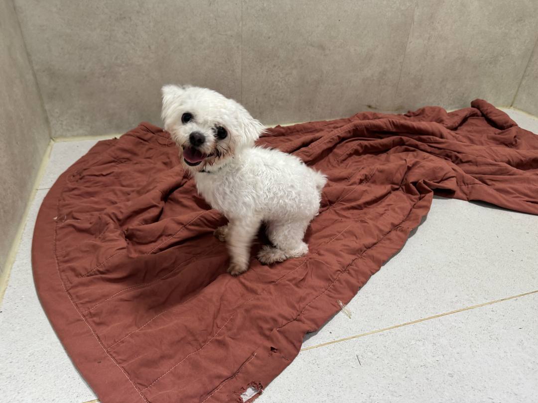 김포번식장)가빈