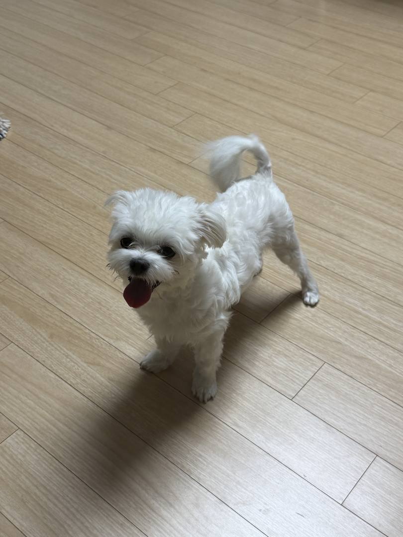 김포번식장)지영