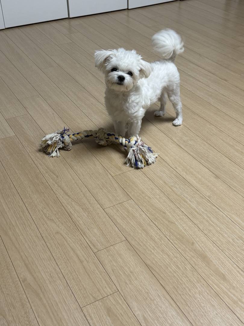 김포번식장)지영