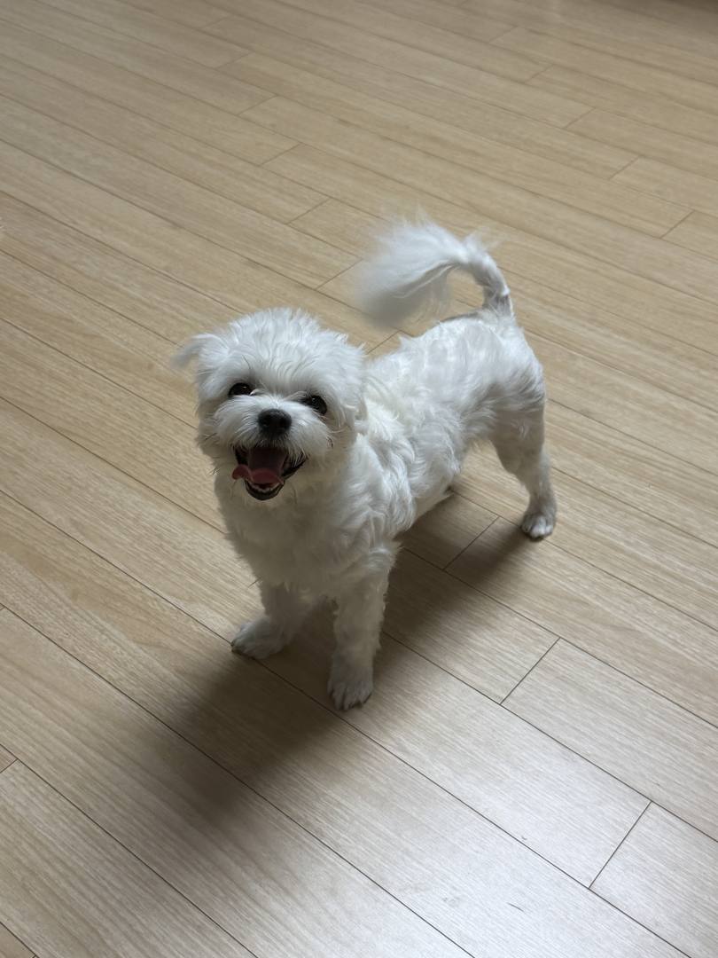 김포번식장)지영