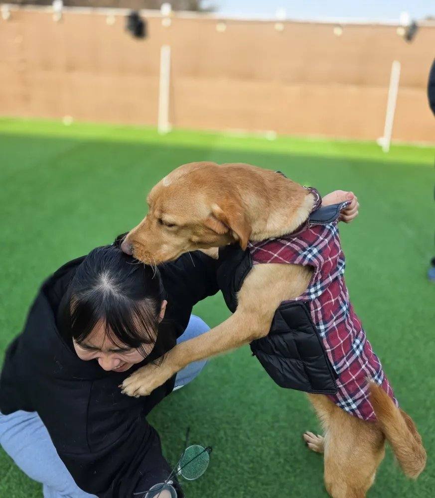 부안) 샤일로