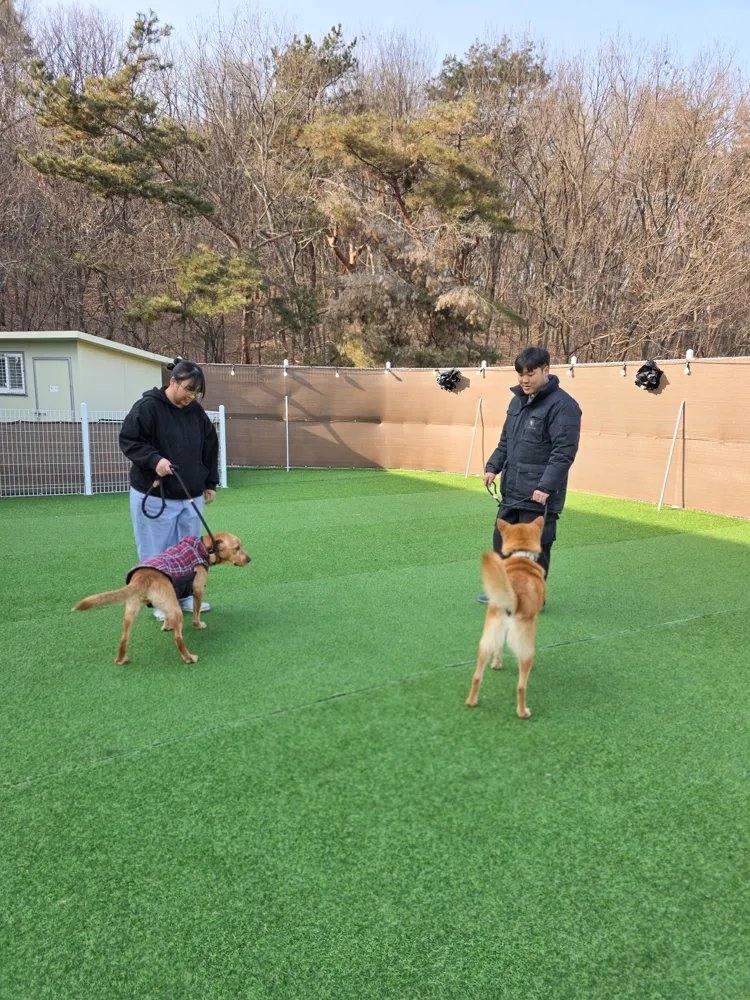 부안) 샤일로