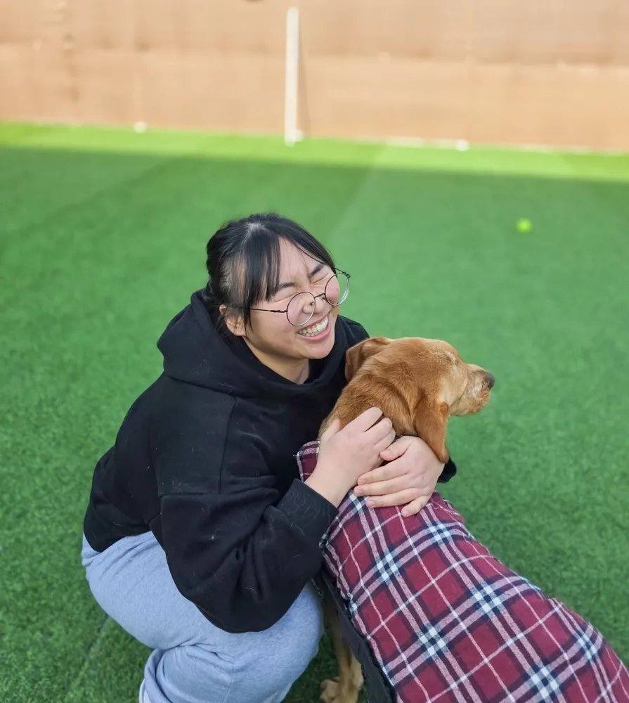 부안) 샤일로