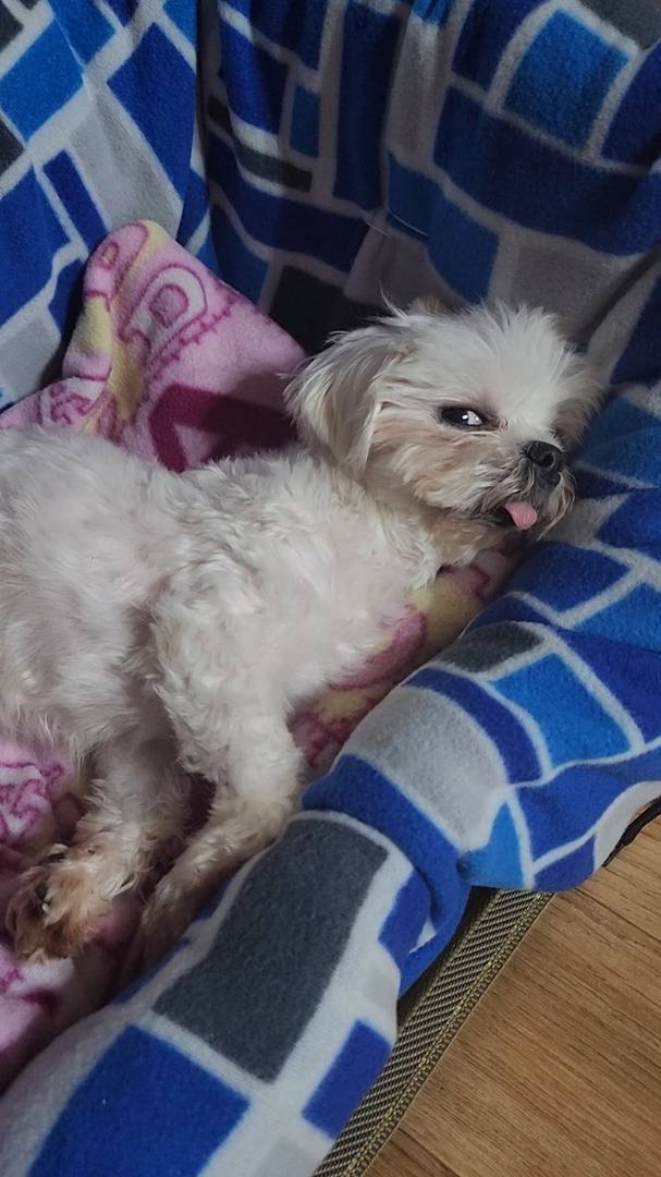 김포번식장)가람