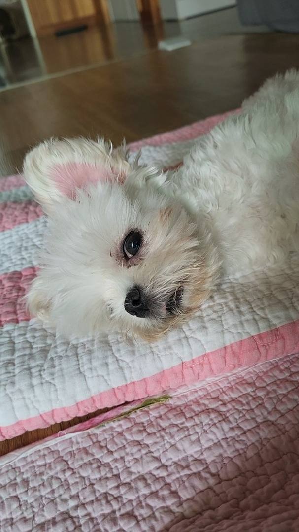 김포번식장)가람