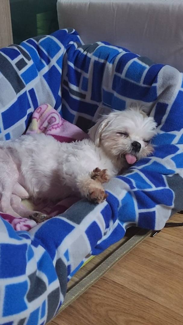 김포번식장)가람