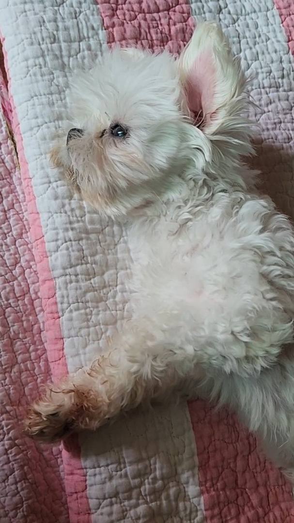 김포번식장)가람