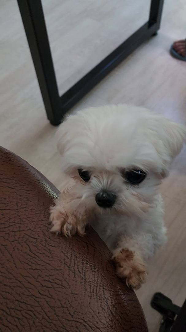 김포번식장)가람