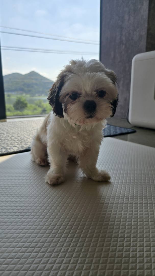 김포번식장)로즈