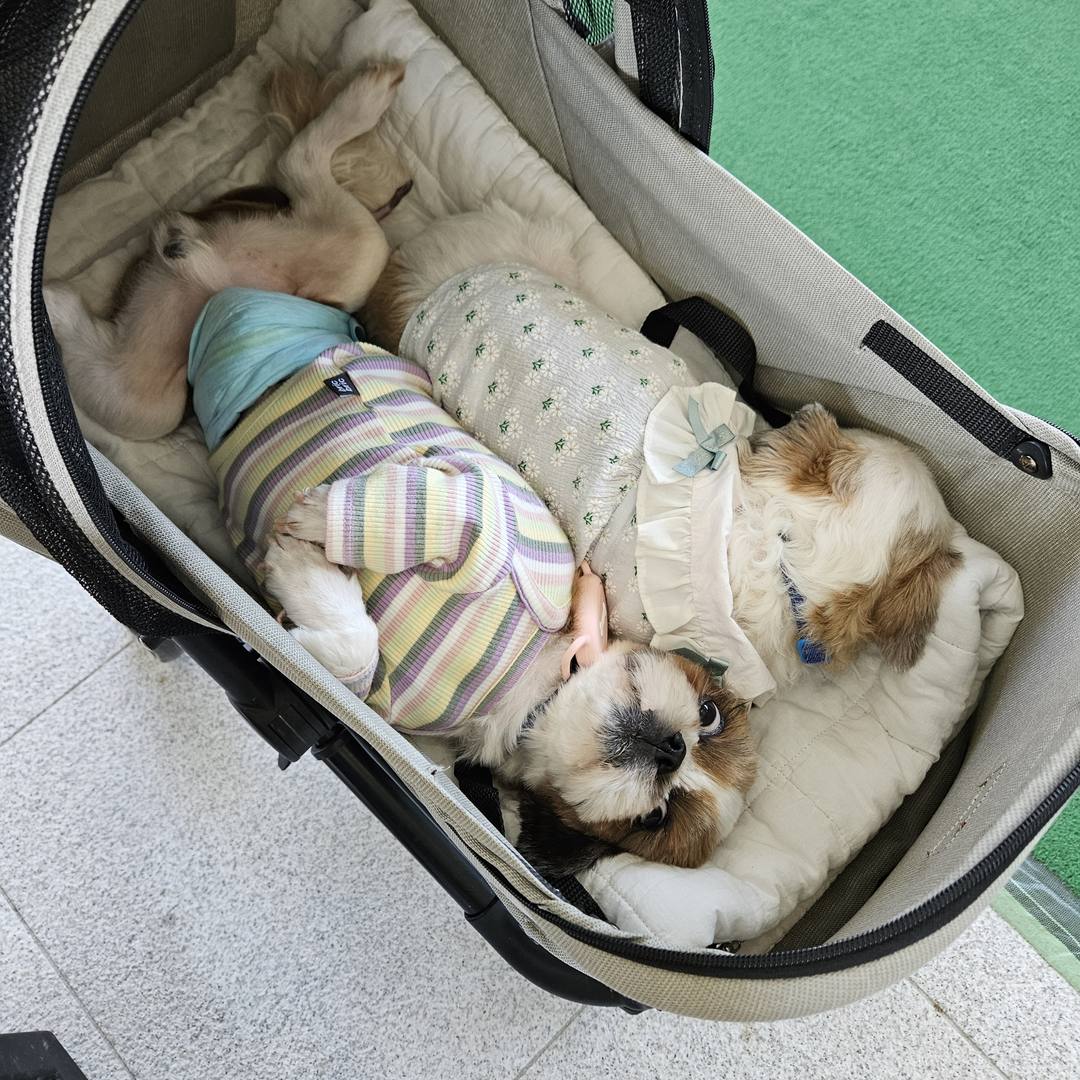 김포번식장)제제