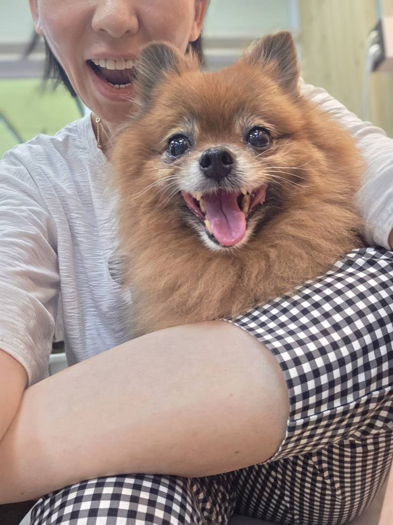 가별