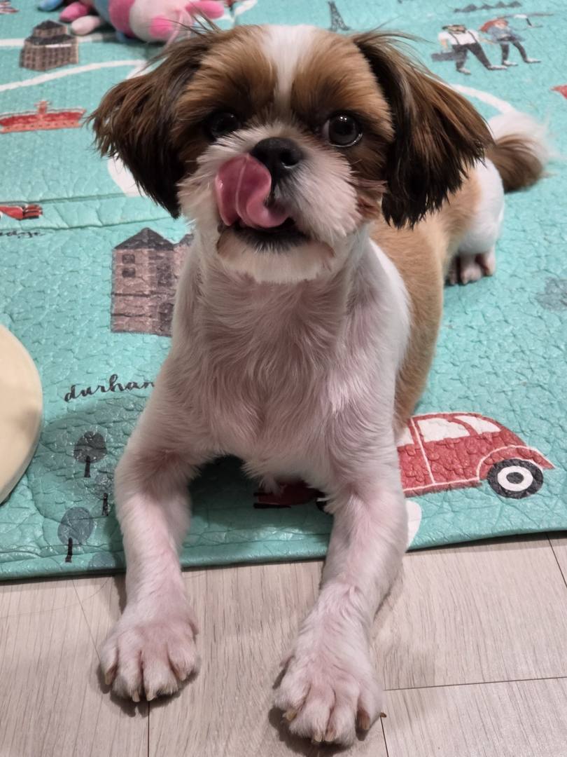 김포번식장)윤이