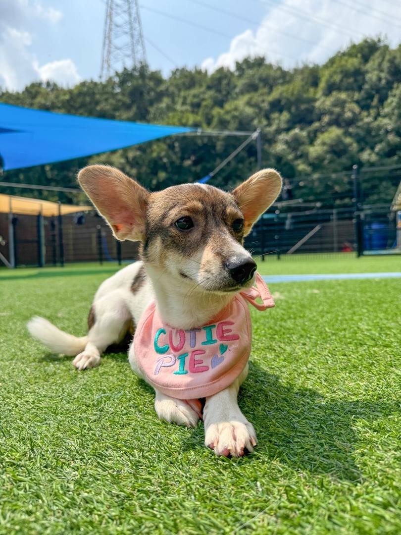 밀양) 수지