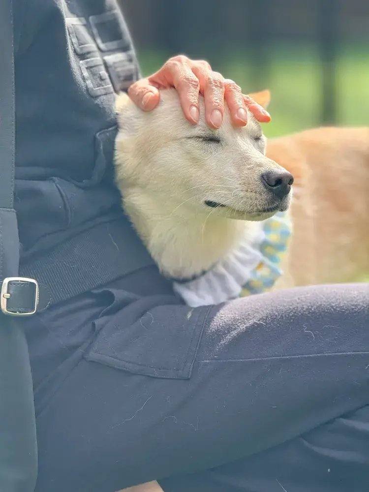 밀양) 반디