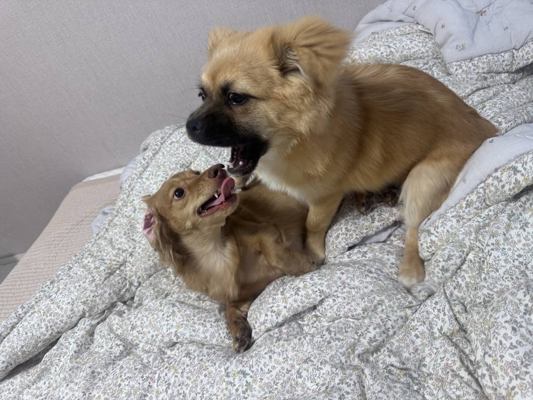 흥민(라떼)