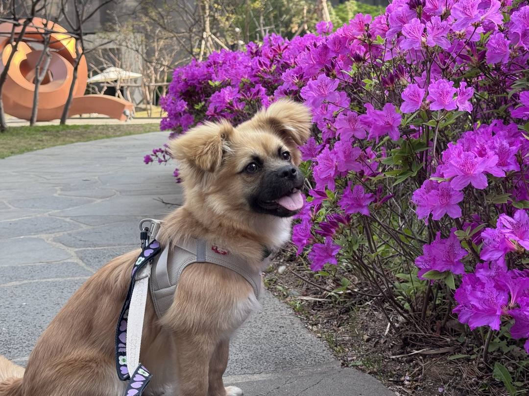 흥민(라떼)