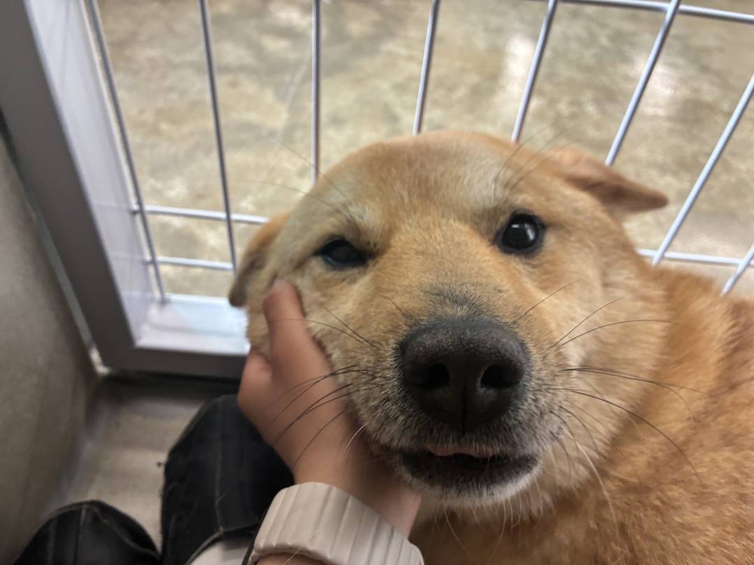 오오