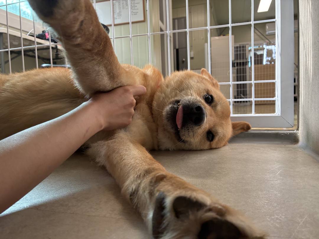 오오