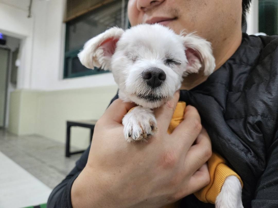 슈만