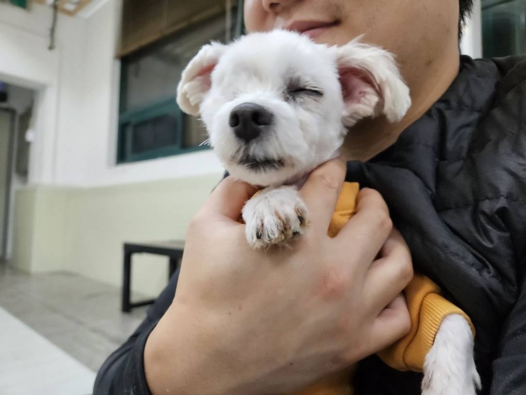 슈만
