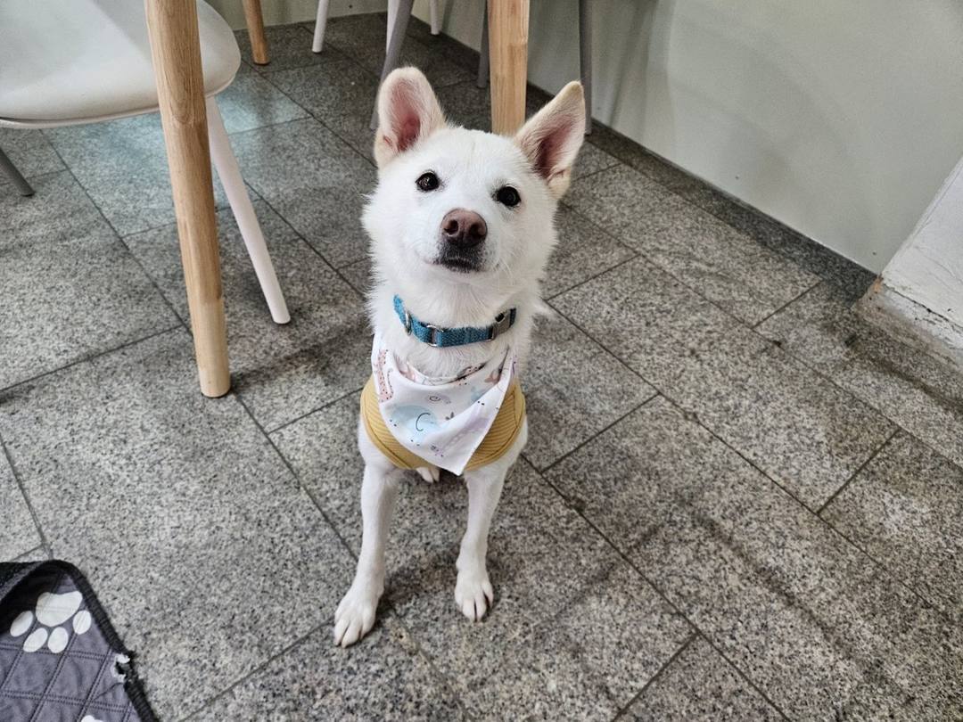뽀뽀