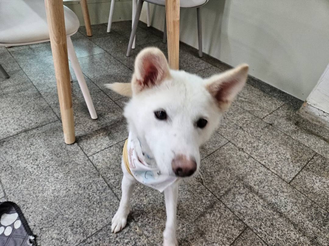 뽀뽀