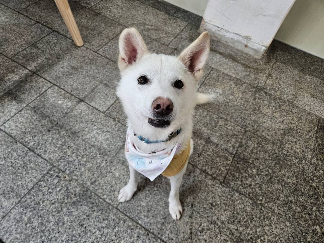 뽀뽀