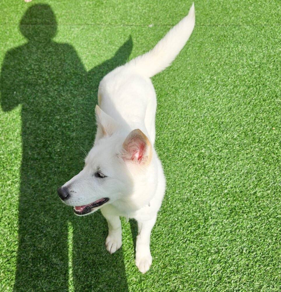 밀양) 루미