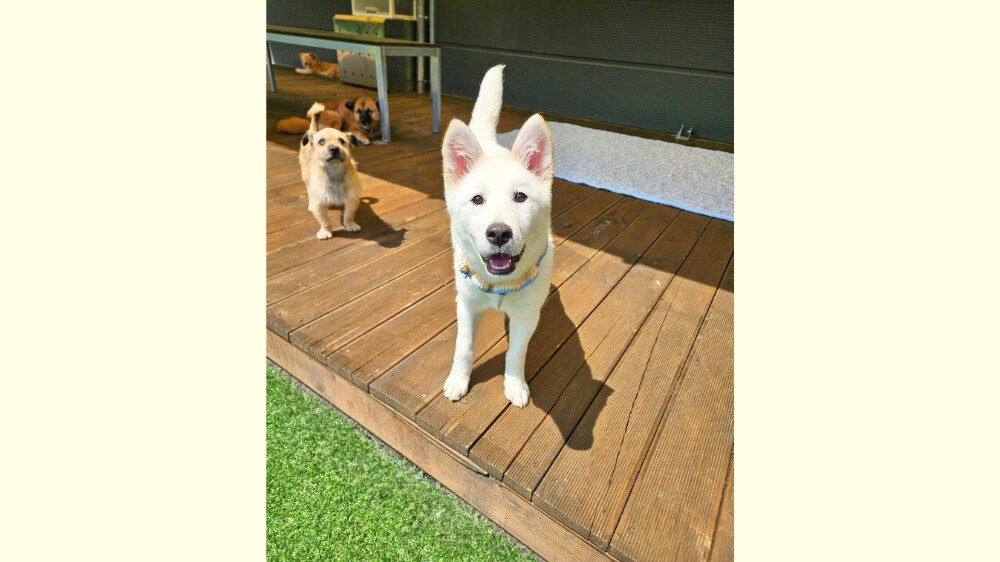 밀양) 루미