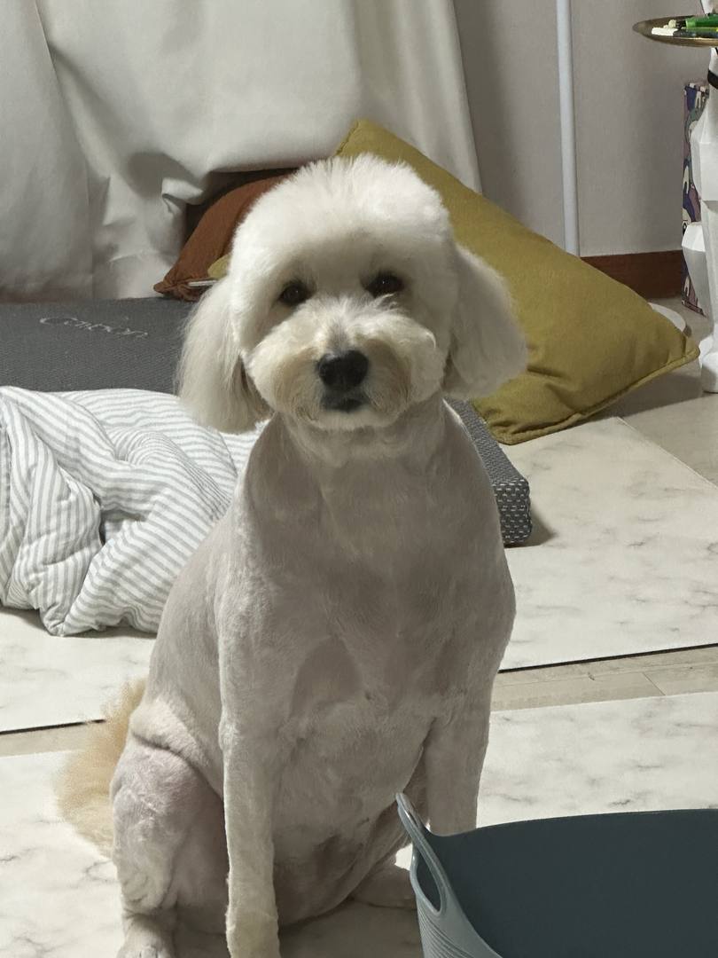 나노
