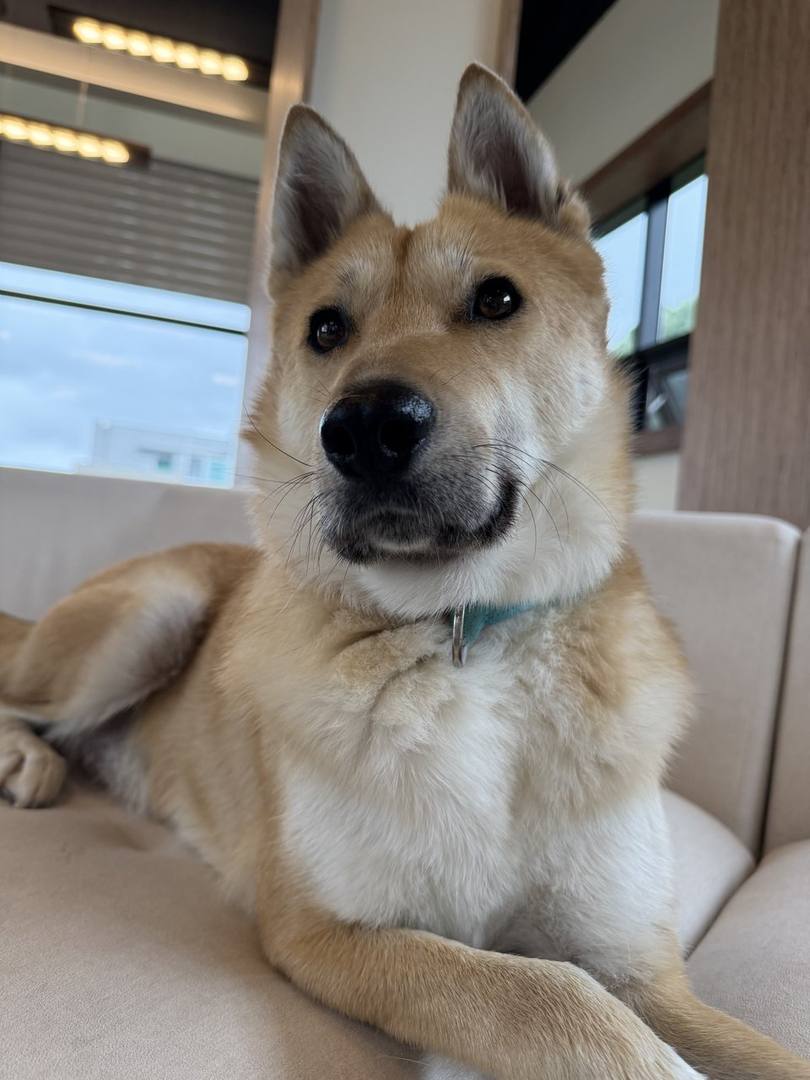 태평
