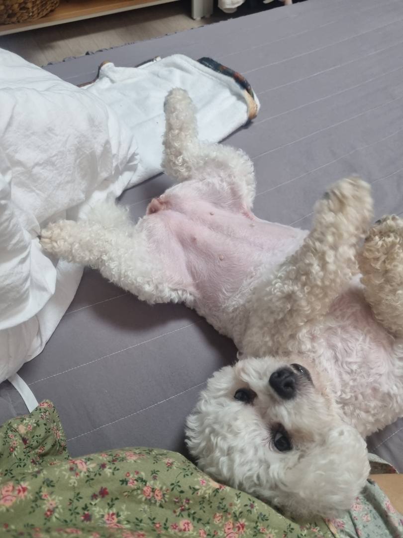 햅번
