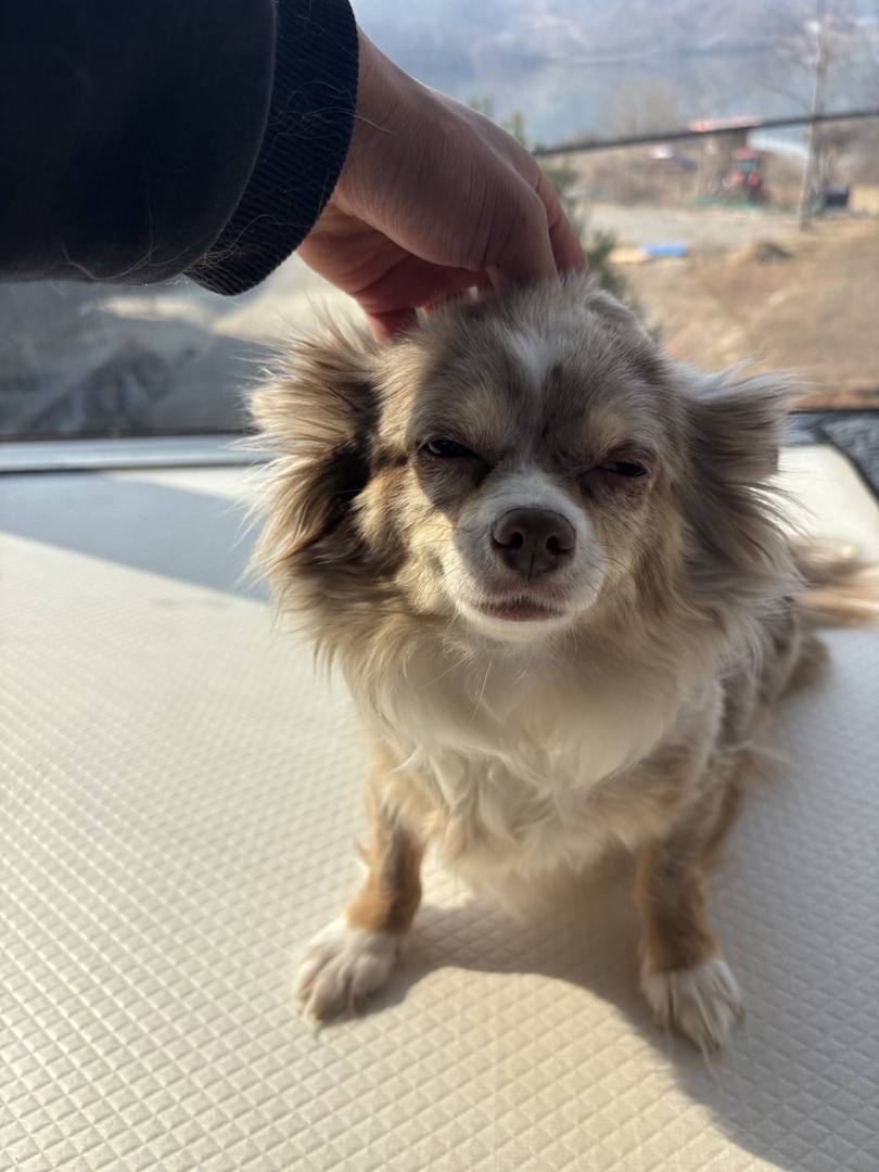 희성