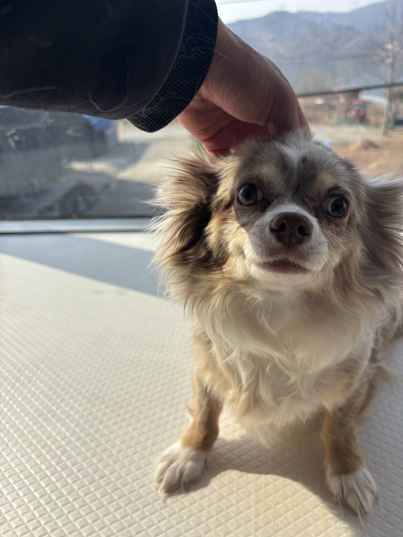 희성